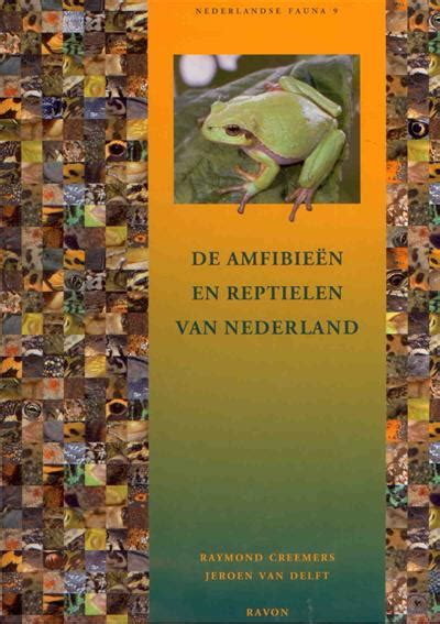 De amfibieën en reptielen van nederland. - Comentarios internacionales de el pulga, julio e. suárez..