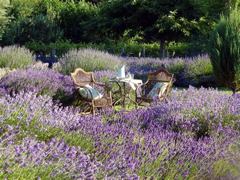 De beste hotels bij Lavandula Swiss Italian Farm voor je vakantie ...