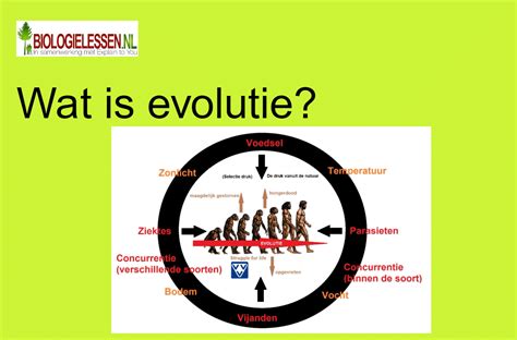 De evolutie van fruitteelt