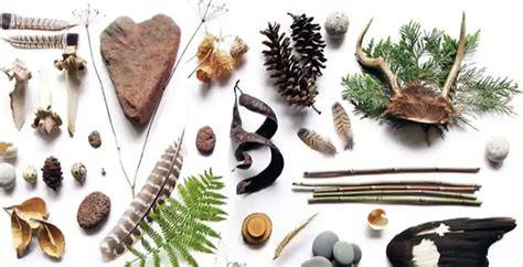 De invloed van natuurlijke materialen op woonbeleving