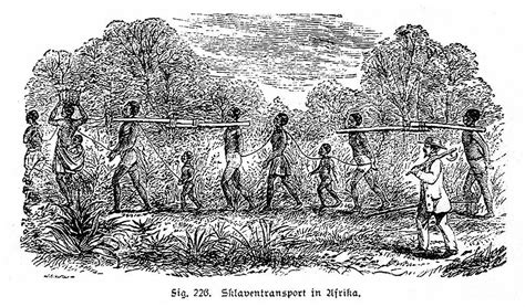 De kreet der afrikanen tegen hunne européesche verdrukkers, of, tafereel van den slavenhandel. - Night study discussion study guide answers.