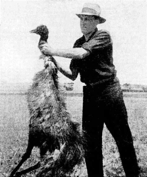 DeWiki > Emu War