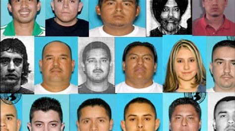 Dea 10 most wanted list. Pixabay/Public Domain. 7. Rommel Pascua Cipriano. Even though Mexicans are associated with drug cartels and drug distribution in the US, just the top two in our list are Asians actually. 