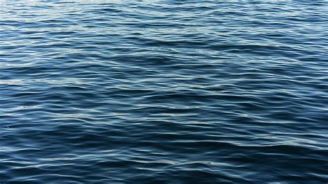 Dead body found in irving texas.  Responding to multiple noise complai...