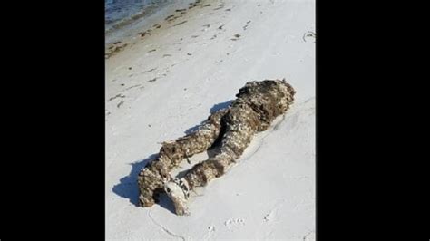 Dead body found in water in Hermosa Beach 