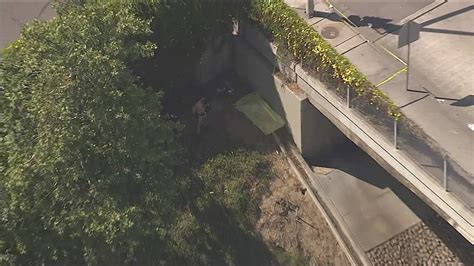 Dead body on 110 freeway today. A man was found dead Monday at the side of the northbound Harbor (110) Freeway in the south Los Angeles area. The body was discovered at 5:35 a.m. near the Glenn Anderson (105) Freeway,... 