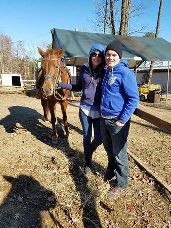 Horse Riding Stable in Raleigh, NC. Horse trail rides, pony rides, summer camp, horse boarding, horses for sale. Near Durham, Cary, Wake Forest.. 