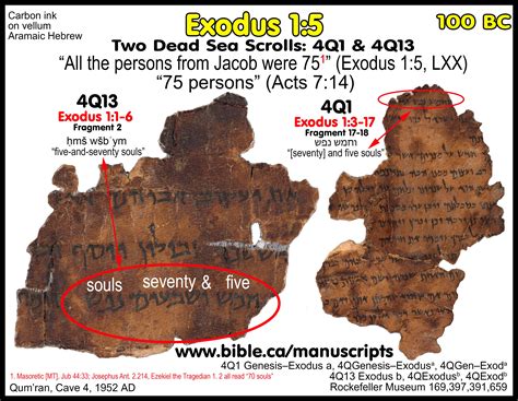 The Dead Sea Scrolls contain some of the earliest known Jewish religious documents, including biblical texts, dated from the third century B.C. to the second century A.D.