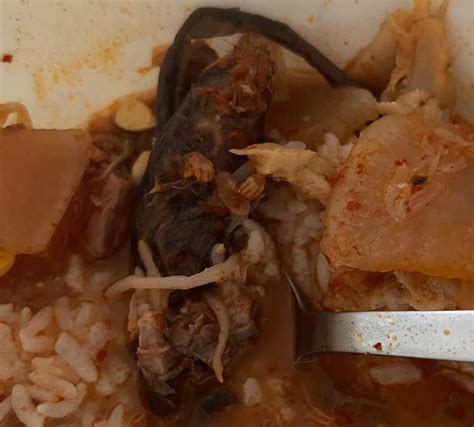 Dead_Rat_Soup Onlyfans Leak 😈 [CLIP]