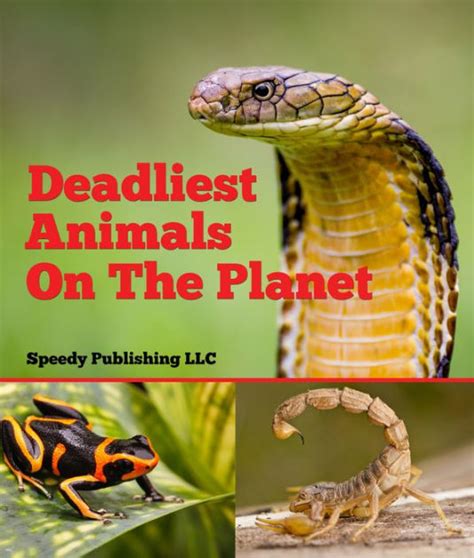 Read Online Deadliest Animals On The Planet Deadly Wildlife Animals By Speedy Publishing