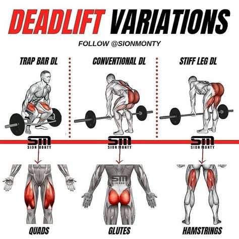 Deadlift alternative exercises 