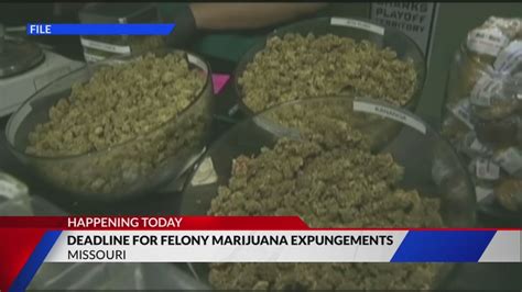 Deadline today for felony marijuana expungements