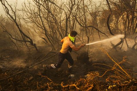 Deadly wildfires in Greece and other European countries destroy homes, threaten nature reserves