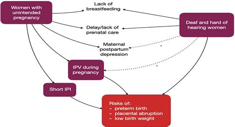 Ultrasound in Obstetrics & Gynecology; Prenatal Diagnosis; International Journal of Gynecology & Obstetrics; Acta Obstetricia et Gynecologica Scandinavica; Australian and New Zealand Journal of …