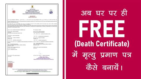 Death certificate provider login. gov Add Service Username Reminder Authentic...