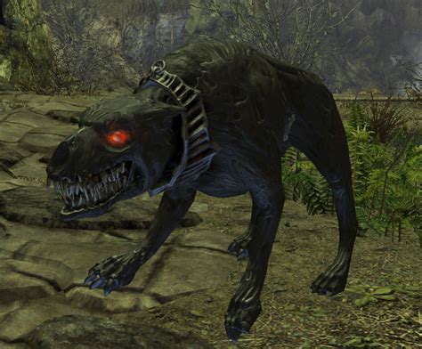 Death hound pet Fandom