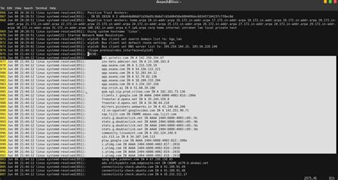 Debian bookworm flush dns cache.  Specifically, systemd-resolved, dnsmasq, and bind9 are...