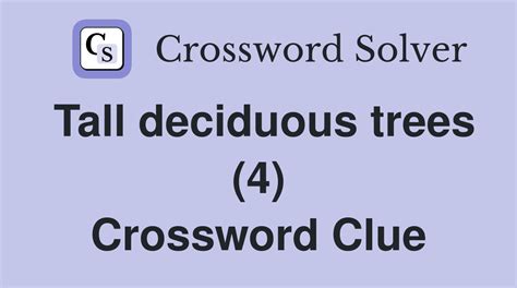 Deciduous tree Crossword Clue Answers