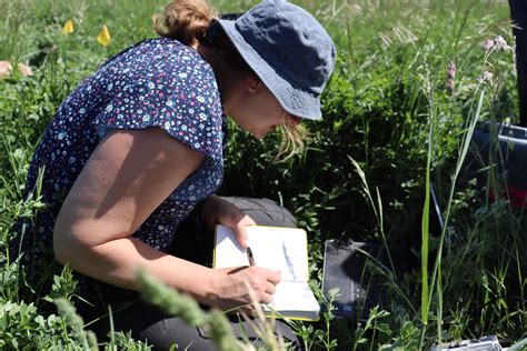 Deciphering patterns in the dirt - Woodwell Climate