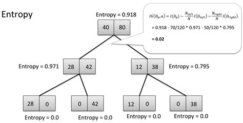 Decision tree entropy calculator.  How to use decision in a sentence.  See examples of decis...