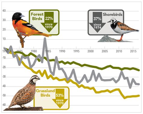 Decline in US bird biodiversity related to ... - ScienceDaily