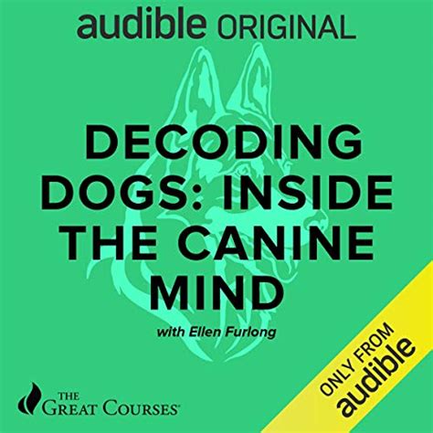 Decoding Dogs