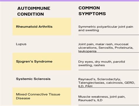 Decoding the ANA A Guide to ANA Testing Division of Rheumatology