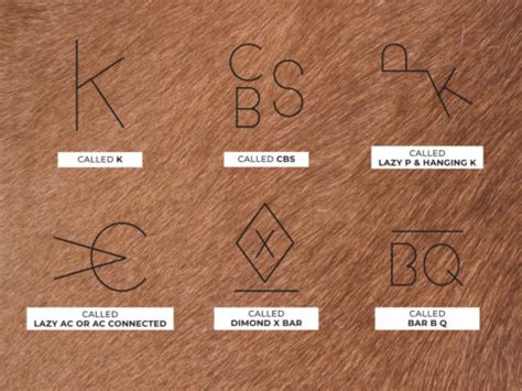 Decoding the Secret Language of Colorado Cattle Brands 5280
