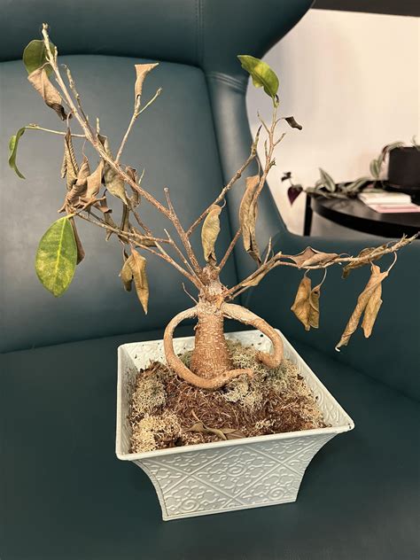 Decrepit_Plant Leaks [SEX VIDEO] 220 Vids