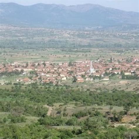 Dedebagi Halı ve Koltuk Yıkama