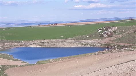 Dedepinar Halı ve Koltuk Yıkama