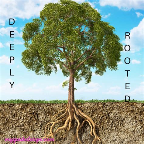 Deep–rooted Definition & Meaning Britannica Dictionary