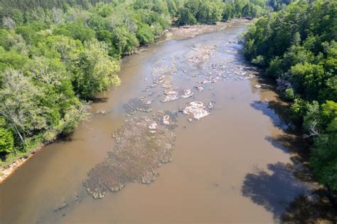 Read Deep River