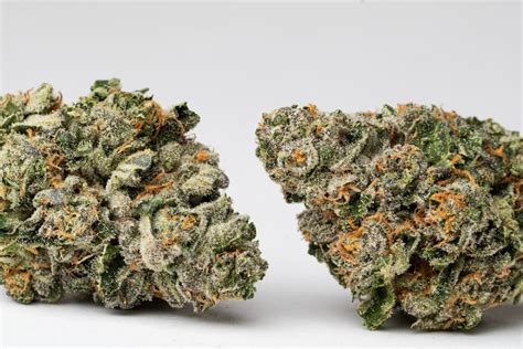 Black Runtz Weed Strain Review: Unveiling Its Mystique and Flavors Welcome to the world of cannabis connoisseurs, where we delve deep into the mystique and flavors of one of the most sought-after strains in the market today - the Black Runtz. This strain has been making waves in the cannabis community for its unique characteristics and potent effects. So, let's embark on this journey to ...
