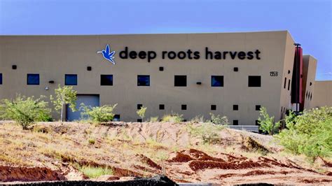Deep Roots Harvest is a medical and recreational