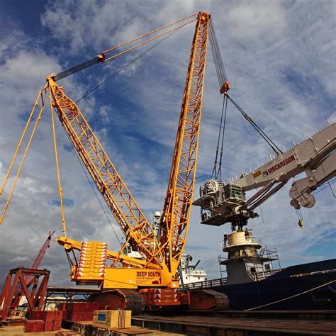 Deep south crane. Things To Know About Deep south crane. 