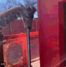 Deep throat porn indian gif. .  <a href=https://stag.der-sinzinger.de/pub/...