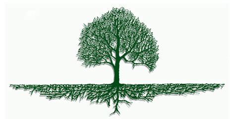 Deep-rooted - DEEP-ROOTED - Synonyms, related words and examples | Cambridge English Thesaurus 