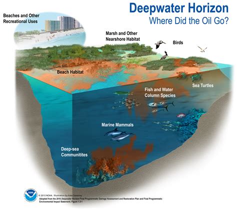 Deepwater Horizon News, Research and Analysis - The Conversation