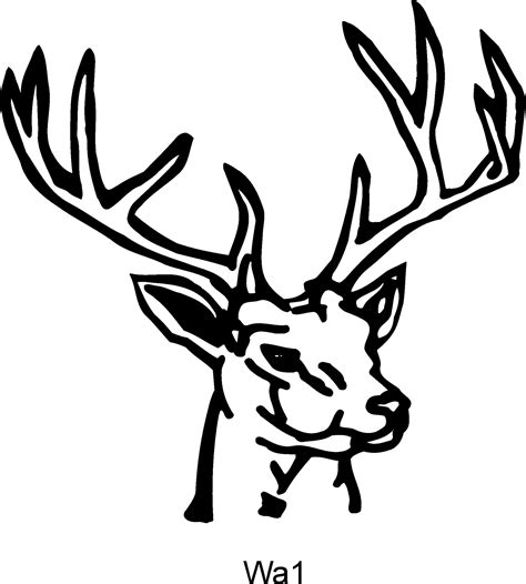 Deer Drawing Outline