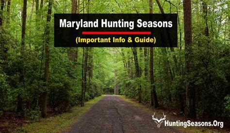 Deer Season In Maryland Everything You Need To Know To Be …