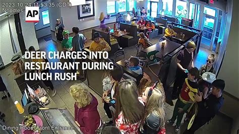 Deer charges through crowded Wisconsin restaurant