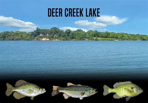 Deer creek fishing report 2020. .  <a href=https://samet-liftup.4alabs.com/dg...