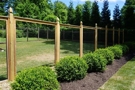 Deer fencing for garden. The bottom edge should be pegged to the ground to stop deer lifting the wire and squeezing underneath. The maximum mesh size should be 20 x 15cm (8 x 6in) for most deer but 7.5 x 7.5cm (3 x 3in) where muntjac are a problem. Entrances to the garden need deer-proof gates. An electric fence, as used to confine farm livestock, is often ineffective ... 