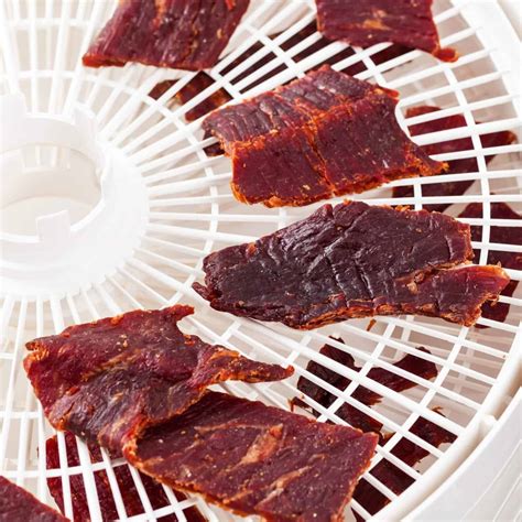 Deer jerky in dehydrator how long