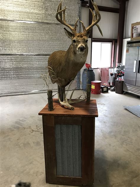Deer pedestal mount. Wood Bases. The quality of your base for a pedestal or life-size mount can make or break the visual appeal. The craftsmen and women that work in McKenzie's Woodworking Departments are highly skilled and totally dedicated to producing the quality that you can proudly show your customers. The selection of bases, whether looking for something on ... 