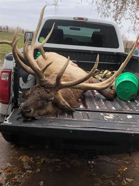 Deer processing near me. Buck Pole Deer & Bear Processing , Easley, South Carolina. 225 likes · 34 talking about this. We are a family owned business located in Dacusville SC (Easley)we specialize in wild game processing ... 