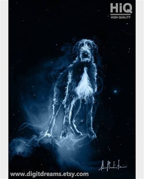 Deerhound Harry Potter Wiki Fandom