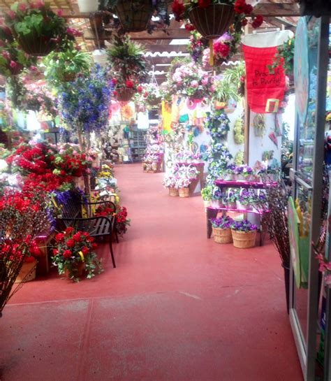 Dees nursery. Specialties: Family owned since 1958, Dees is a great place to pick up flowers, gardening supplies and vegetables, which include tomatoes, peppers, cucumbers, a full selection of herbs and more. After Halloween, Dees' transforms from nursery to a Christmas store in the twinkle of Santa's eye. In addition to a large display of … 