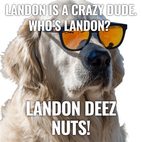 r/deeznutsjokes: deez nut joke ideas and memes. ... Well if you haven’t, it’s you lion on deez nuts. 127. 9 comments. share. save. 78. Posted by 2 years ago. Deez .... 